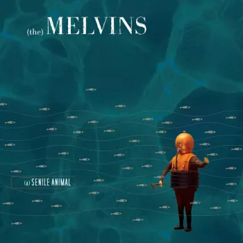 Melvins: (A) Senile Animal