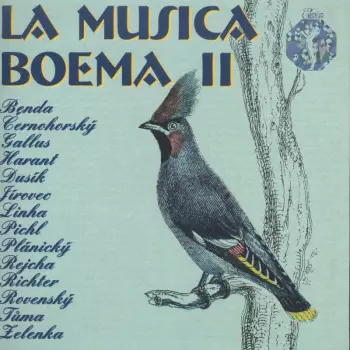 La Musica Boema II