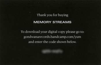 LP Portico Quartet: Memory Streams