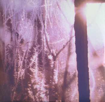 LP Memoryhouse: The Slideshow Effect