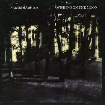 Wishing On The Moon