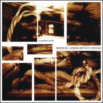 Album Merzbow: A Perfect Pain