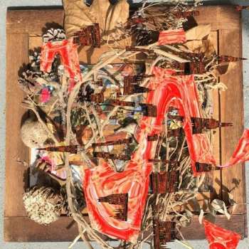 CD Merzbow: Tsubute Mosaic