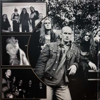 LP Meshuggah: None