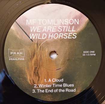 LP MF Tomlinson: We Are Still Wild Horses