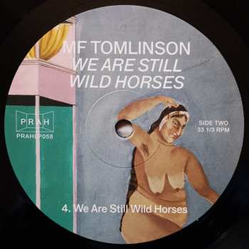 LP MF Tomlinson: We Are Still Wild Horses