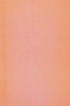 CD MGMT: Oracular Spectacular