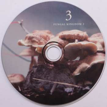 3CD/Dobozkészlet Michael Prime: Bioelectrical Music