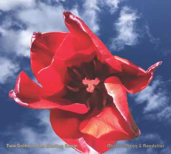 Album Hans-Joachim Roedelius: Two Gather In The Waiting Room