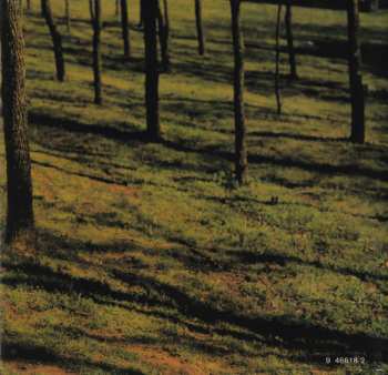 CD Michael Peterson: Michael Peterson