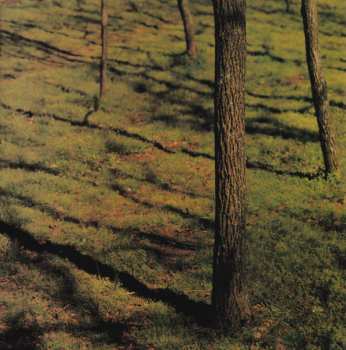 CD Michael Peterson: Michael Peterson