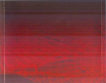 CD The Michael Schenker Group: Arachnophobiac