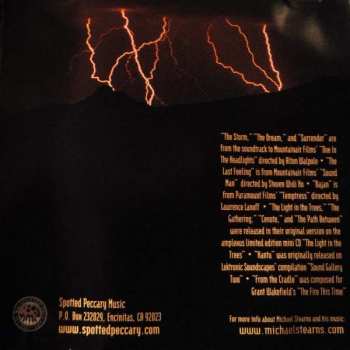 CD Michael Stearns: The Storm