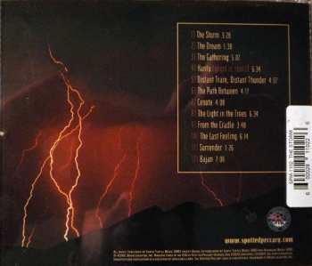 CD Michael Stearns: The Storm