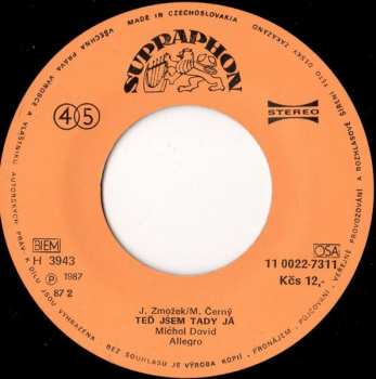 SP Michal David: Teď Jsem Tady Já / Takovýho Chci Tě Mít