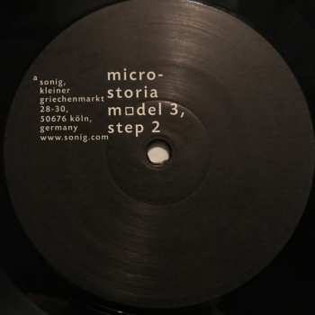 LP Microstoria: Model 3, Step 2