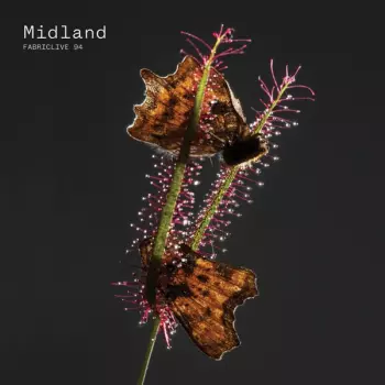 Midland: Fabriclive 94