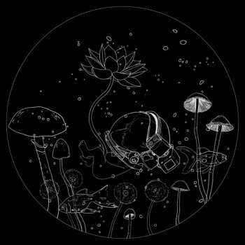 Album migloJE: Sakmės Apie Laiką ir Erdvę (Linear Emotions 2)