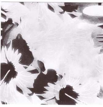 CD Mike Cooper: Black Flamingo LTD