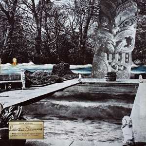 Album Mike Cooper: Reluctant Swimmer / Virtual Surfer