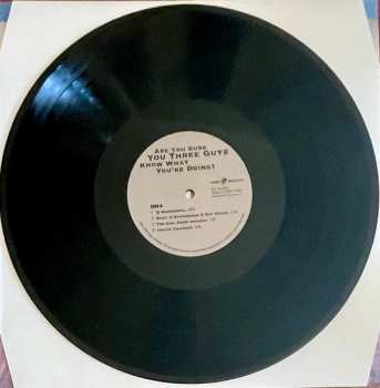 LP Jeff Hamilton: Are You Sure You Three Guys Know What You're Doing? LTD