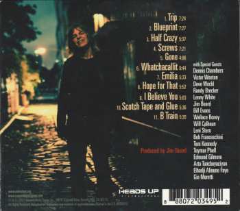 CD Mike Stern: Trip DIGI