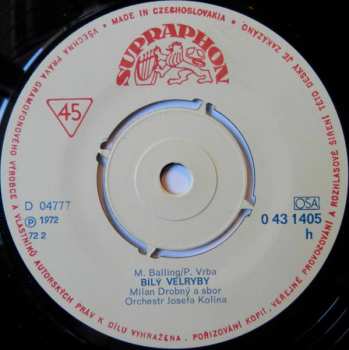 SP Milan Drobný: Bílý Velryby / Buď Fit!