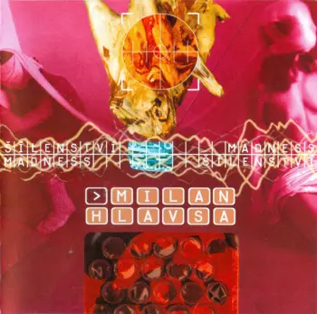 Milan Hlavsa: Šílenství (Madness)