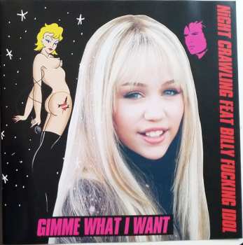 2LP Miley Cyrus: Plastic Hearts