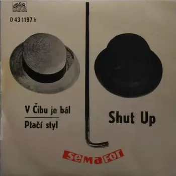 Miluše Voborníková: V Čibu Je Bál / Ptačí Styl
