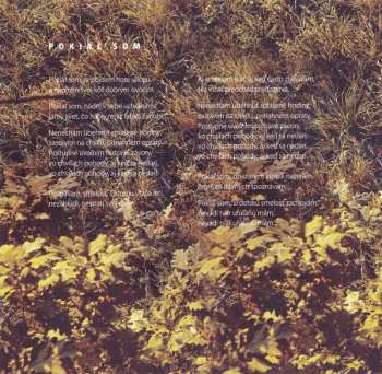 CD Miriam Kaiser: Colour Sounds