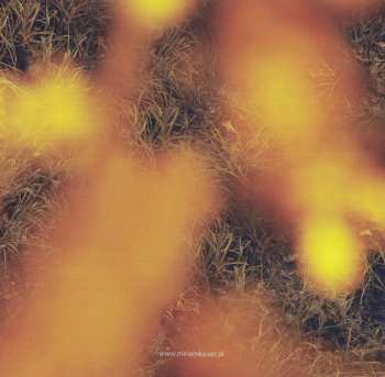 CD Miriam Kaiser: Colour Sounds