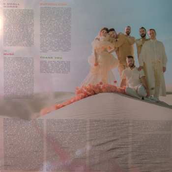 2LP MisterWives: Superbloom CLR