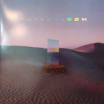 2LP MisterWives: Superbloom CLR