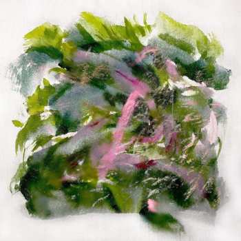 LP MIZU: Forest Scenes LTD | CLR