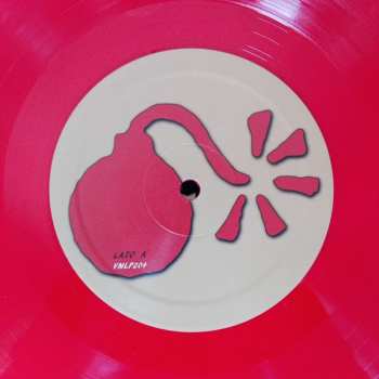 LP Modena City Ramblers: La Grande Famiglia LTD | CLR