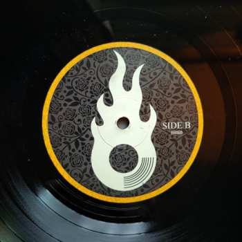 LP Modest Attraction: Divine Luxury