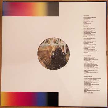LP Modest Mouse: Night On The Sun