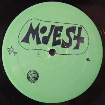 LP Modest Mouse: Sad Sappy Sucker