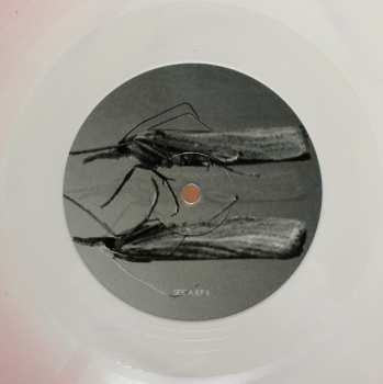 LP Møl: I / II