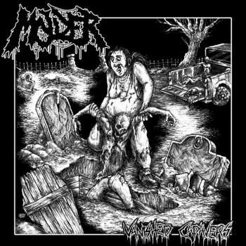 Album Molder: Vanished Cadavers