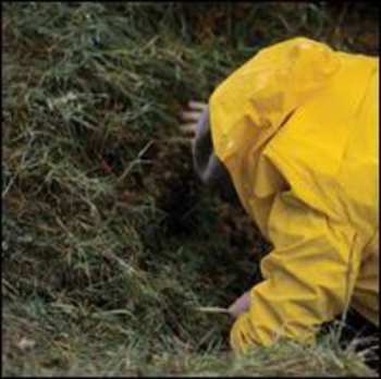 Album Mollono.Bass: My Hidden Playground Part 3