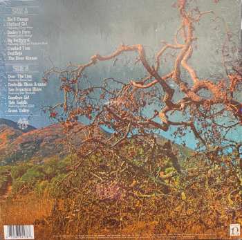 LP Molly Tuttle:  Crooked Tree