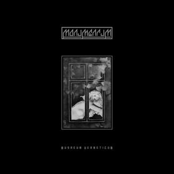 Album Monumentum: Musaeum Hermeticum