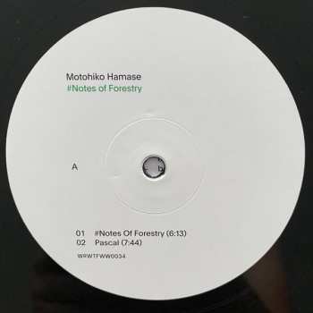 LP Motohiko Hamase: ♯Notes Of Forestry