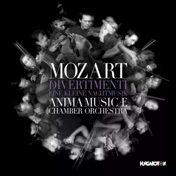 Divertimenti / Eine Kleine Nachtmusik