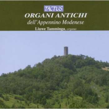 Album Mozart / Martini / Czerny / Tamminga: Historic Organs Of Modena Italy