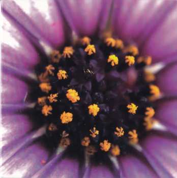 CD MPH: Taxonomies