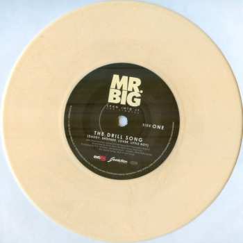 5SP Mr. Big: Lean Into It - The Singles PIC | LTD | CLR