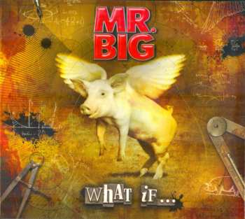LP/CD/DVD/Dobozkészlet Mr. Big: What If... DLX | DIGI